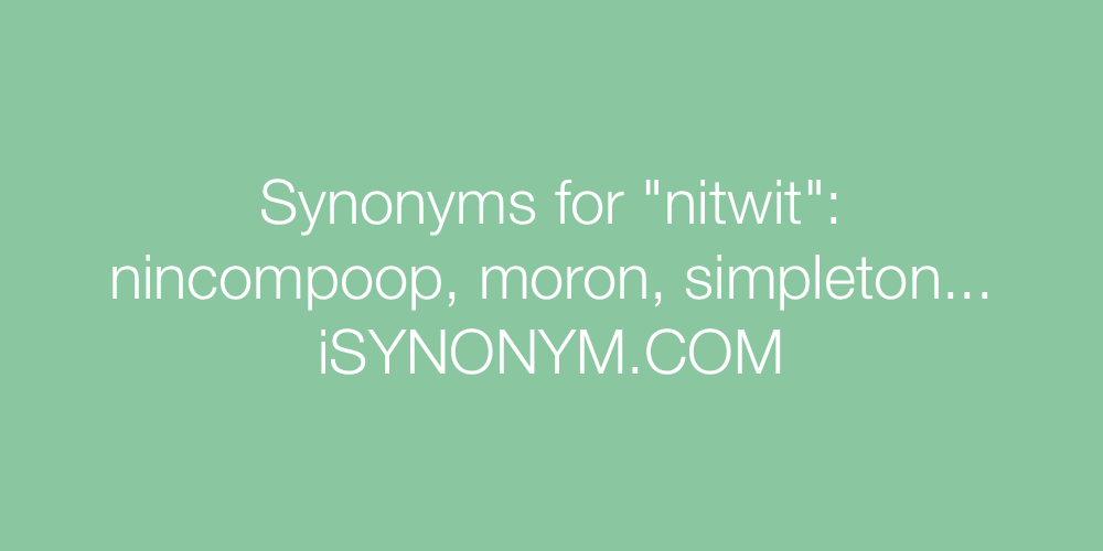 Synonyms nitwit