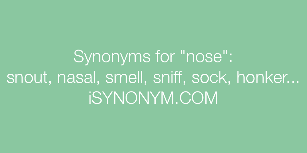 Synonyms nose