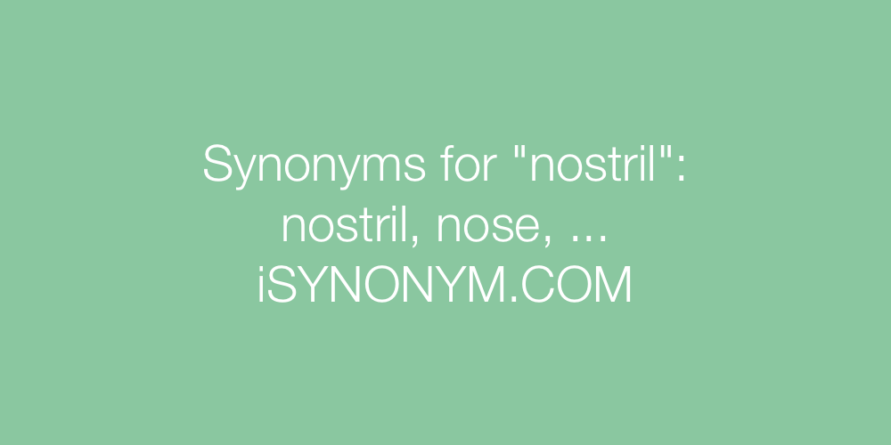 Synonyms nostril