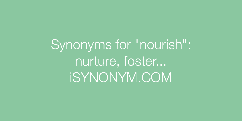 Synonyms nourish