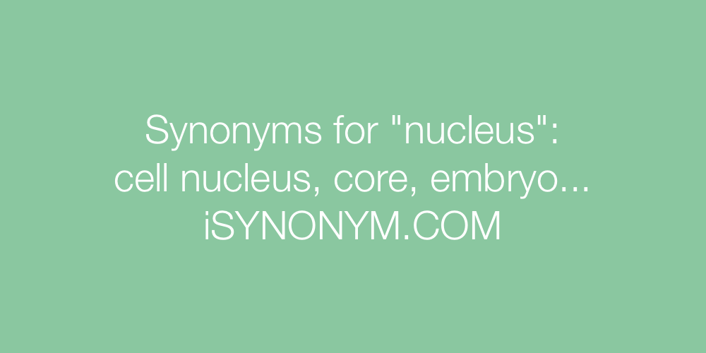 Synonyms nucleus