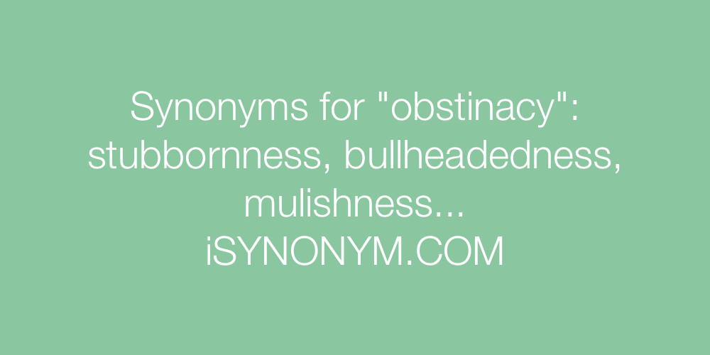 Synonyms obstinacy