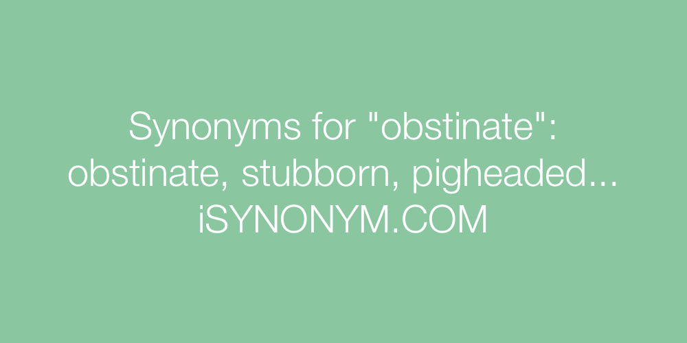 Synonyms obstinate