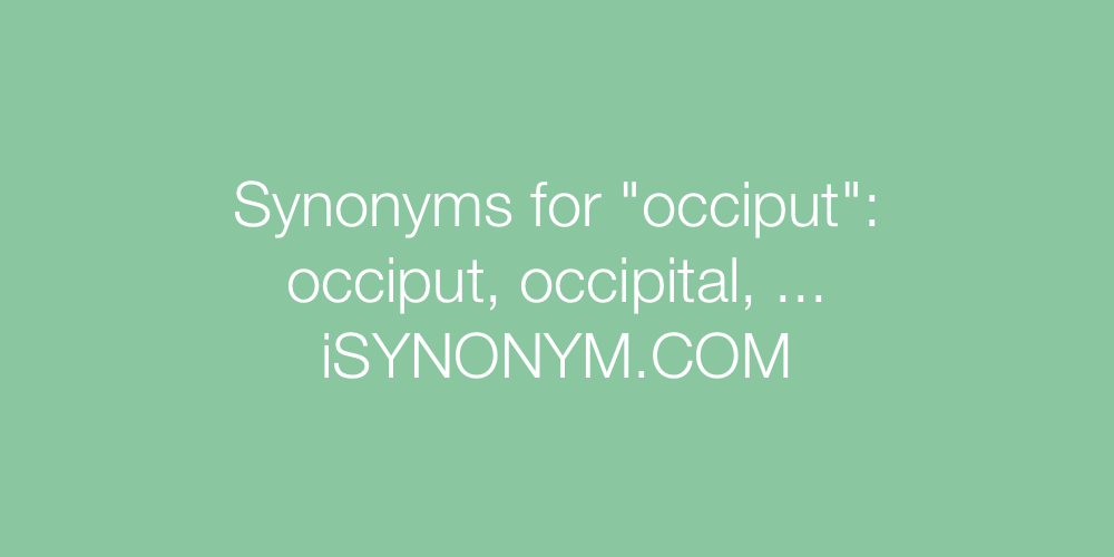 Synonyms occiput