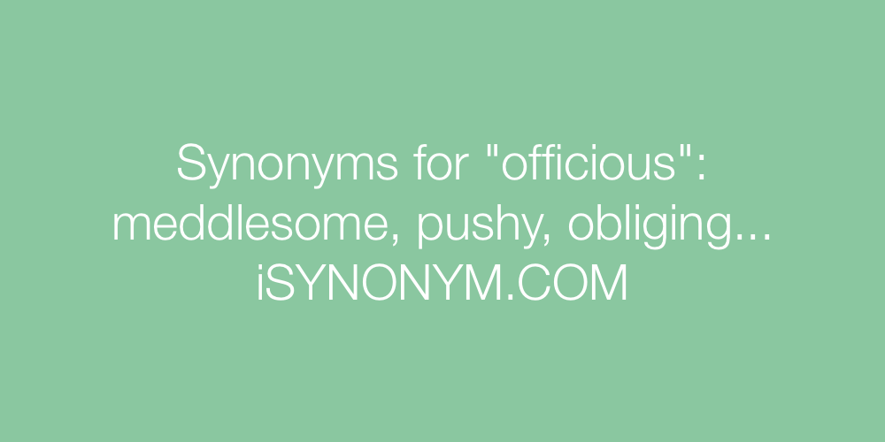 Synonyms officious
