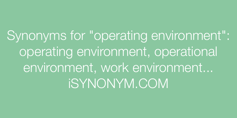 Synonyms operating environment