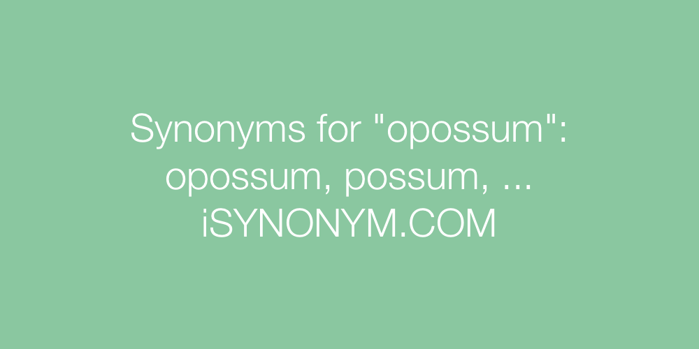 Synonyms opossum