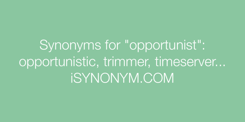 Synonyms opportunist