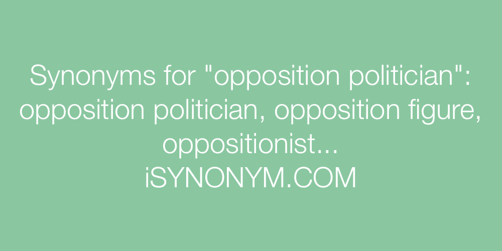 Synonyms opposition politician