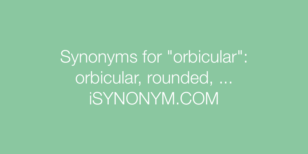 Synonyms orbicular