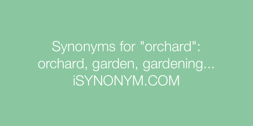 Synonyms orchard