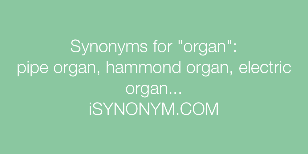 Synonyms organ