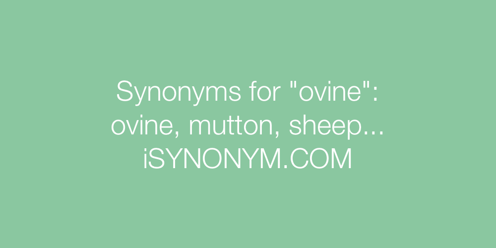 Synonyms ovine