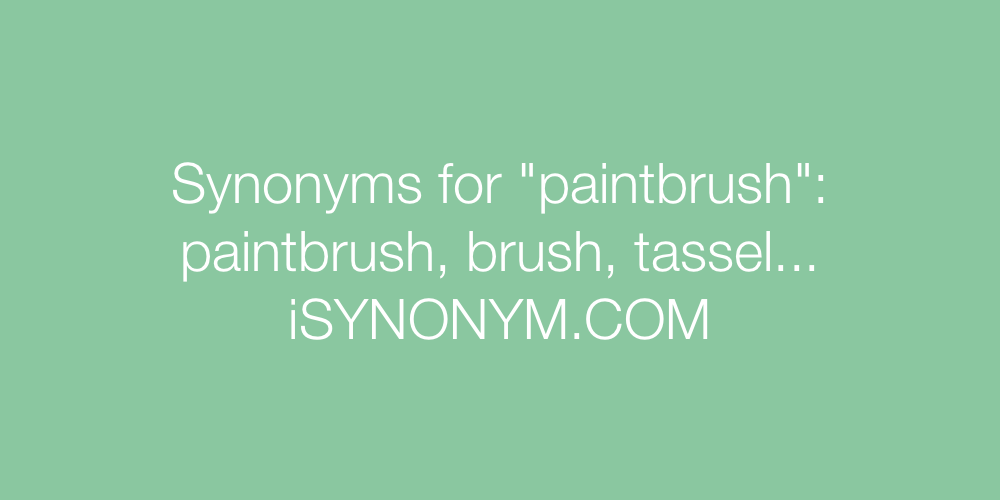 Synonyms paintbrush