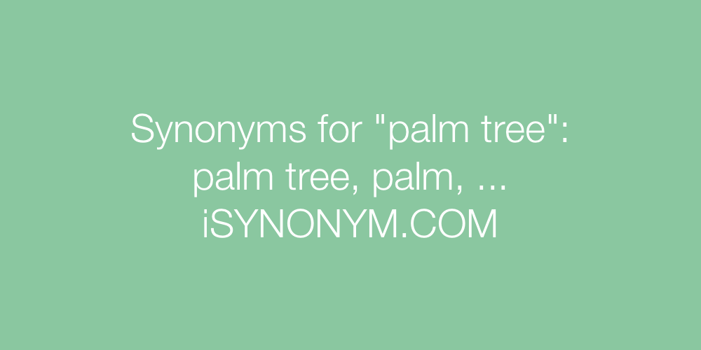 Synonyms palm tree