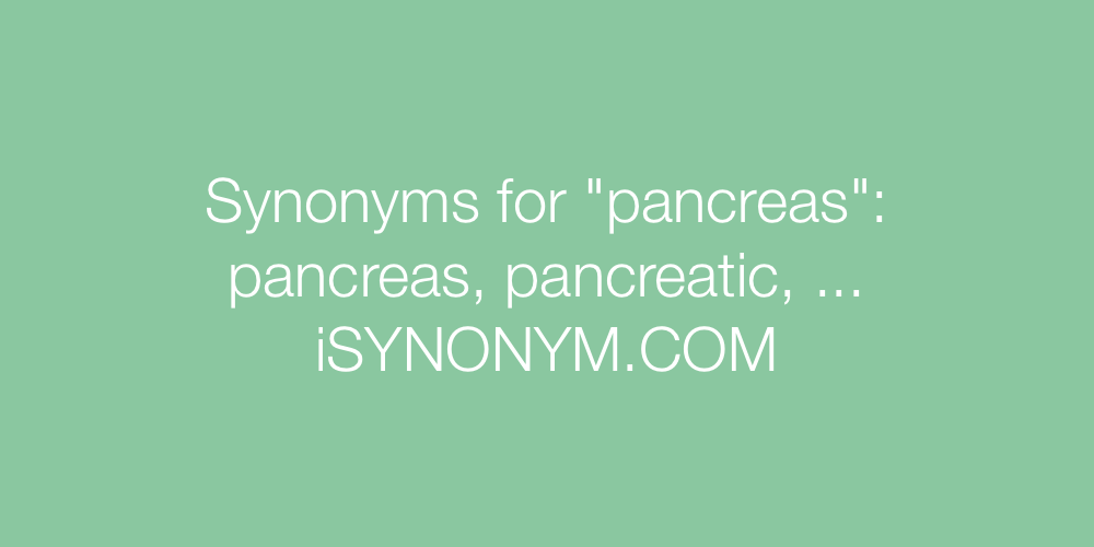 Synonyms pancreas