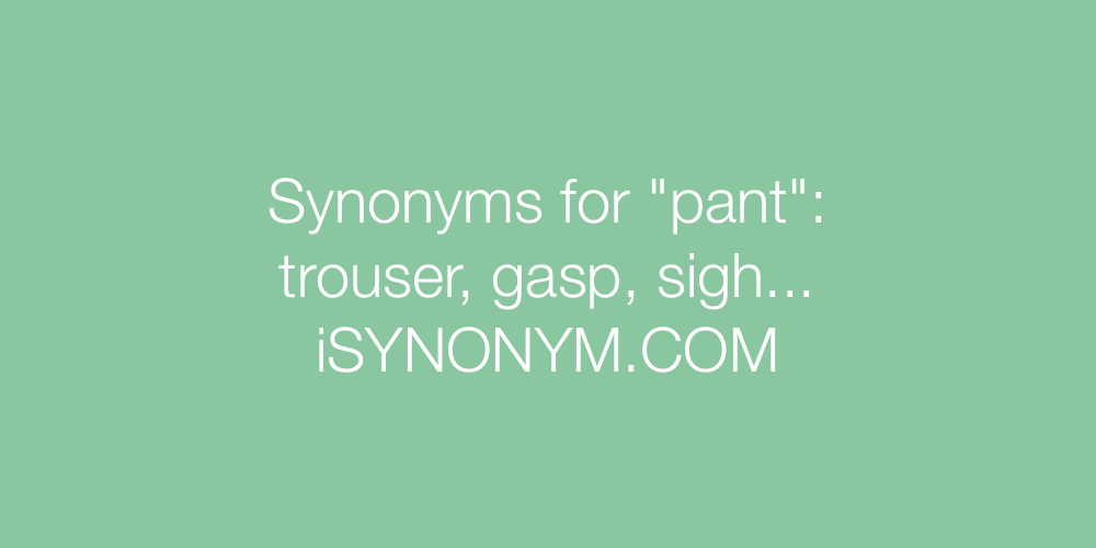 Synonyms pant