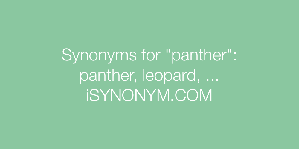 Synonyms panther