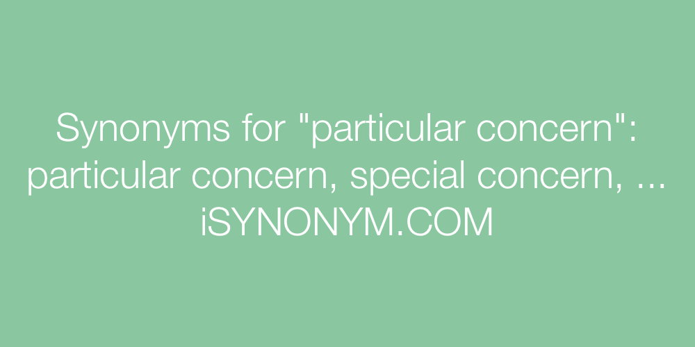 Synonyms particular concern
