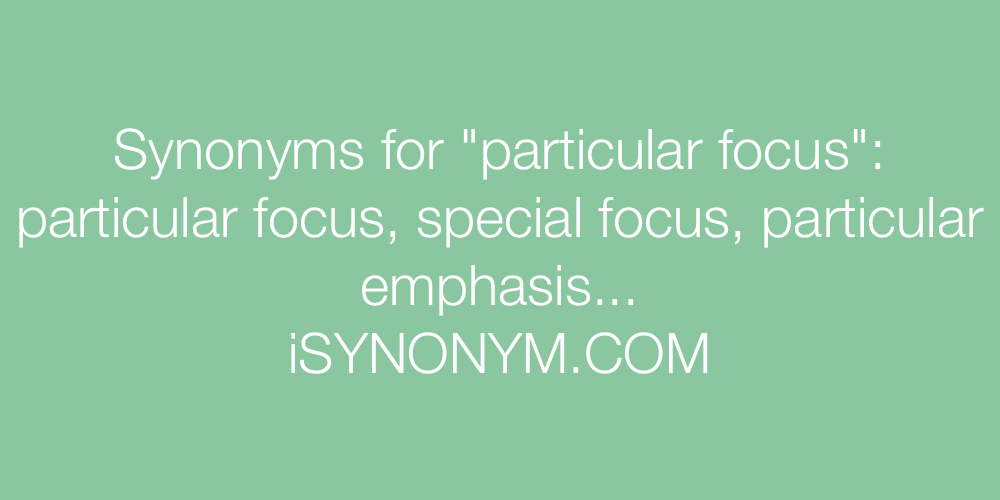 Synonyms particular focus