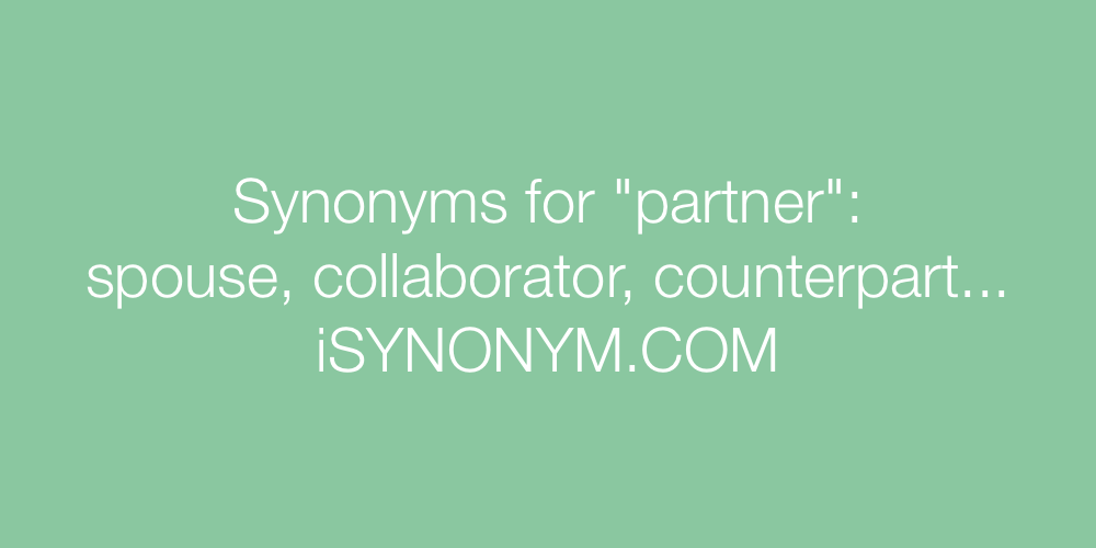 Synonyms partner