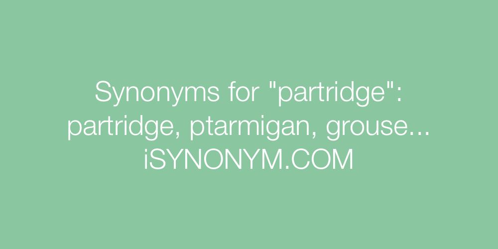 Synonyms partridge