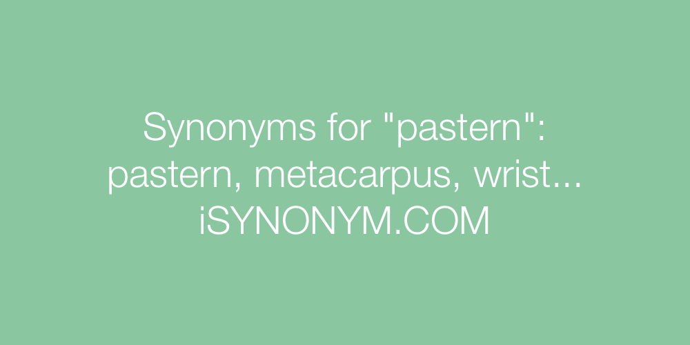 Synonyms pastern