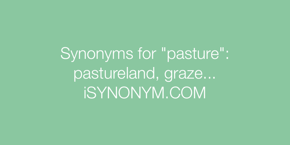 Synonyms pasture