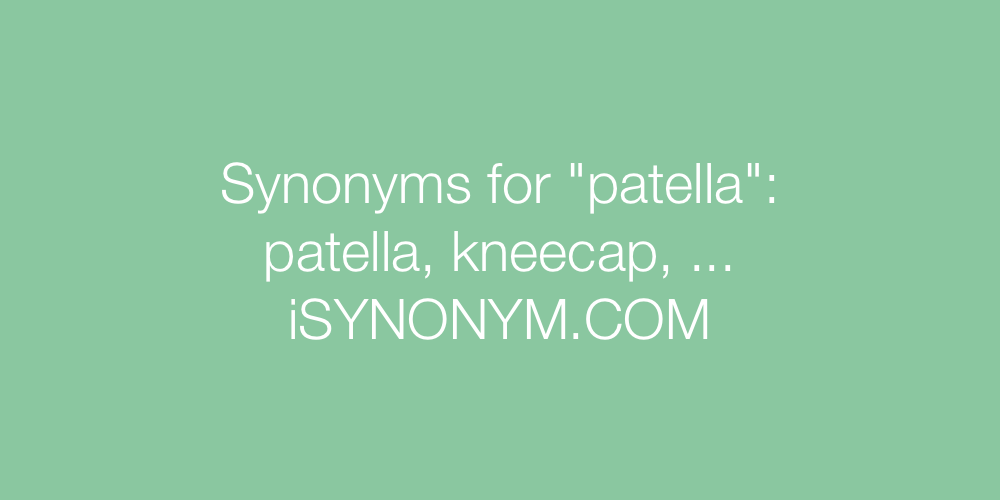 Synonyms patella
