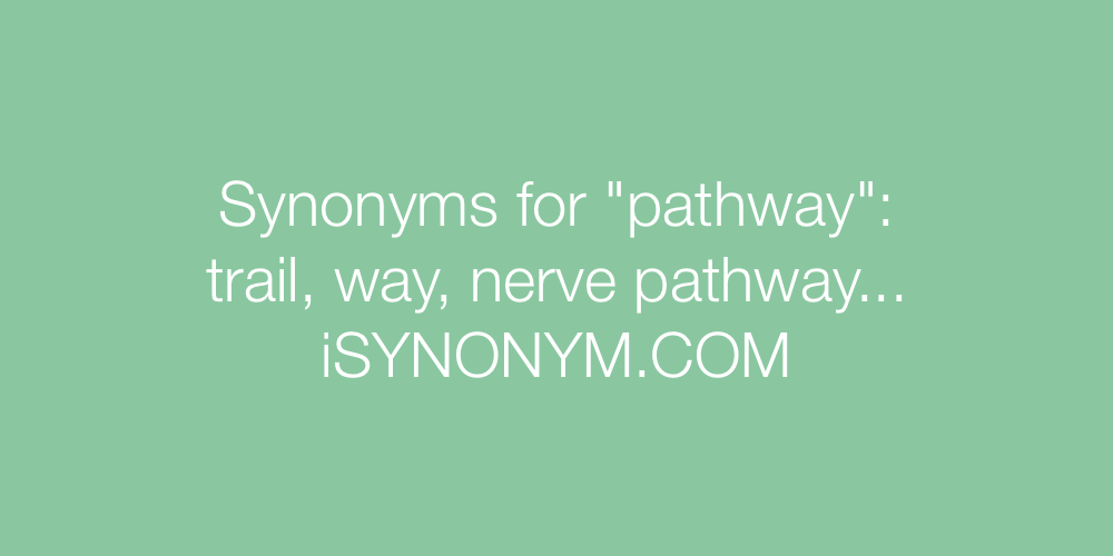 Synonyms pathway