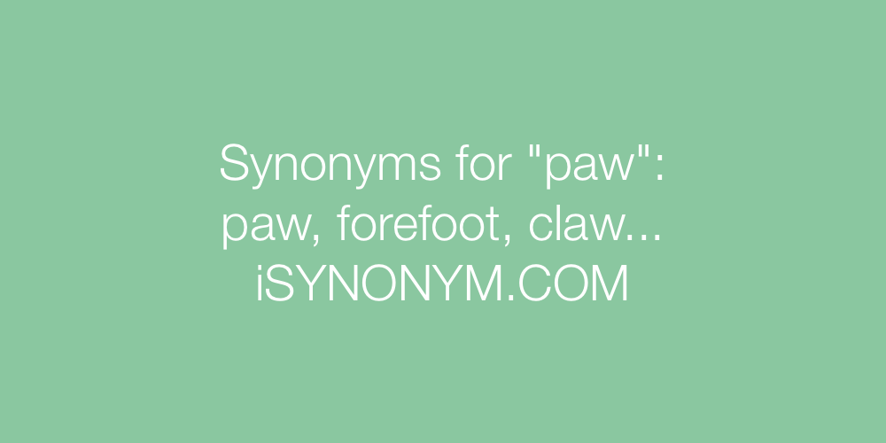 Synonyms paw