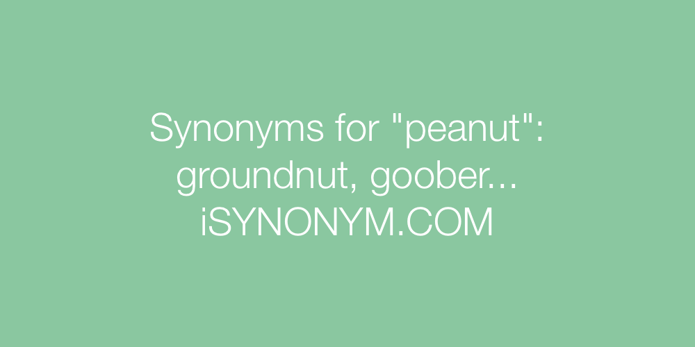 Synonyms peanut