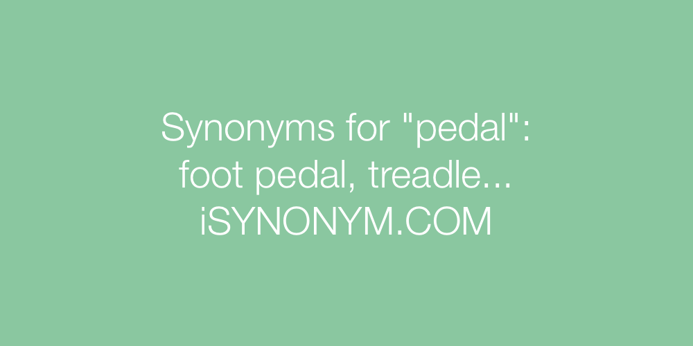 Synonyms pedal