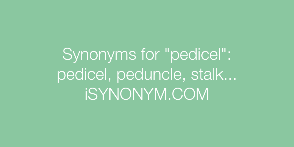 Synonyms pedicel