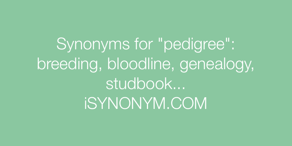 Synonyms pedigree