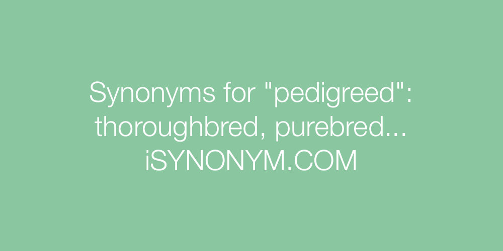 Synonyms pedigreed