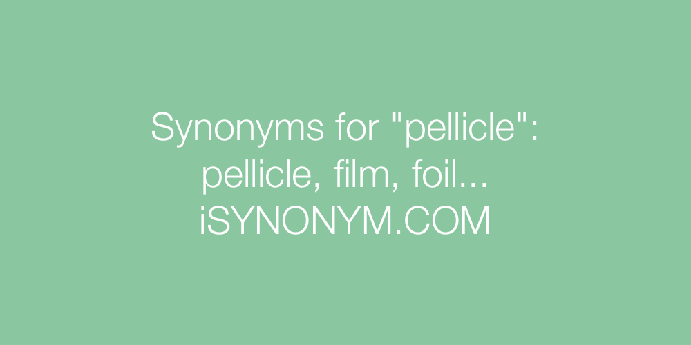 Synonyms pellicle
