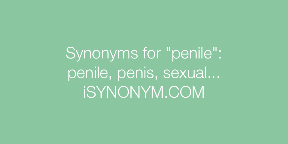 Synonyms penile