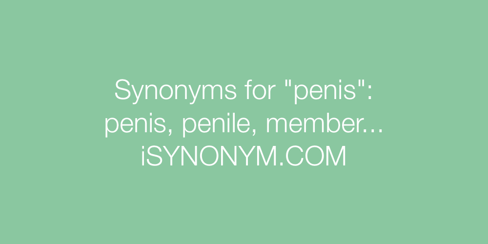 Synonyms penis