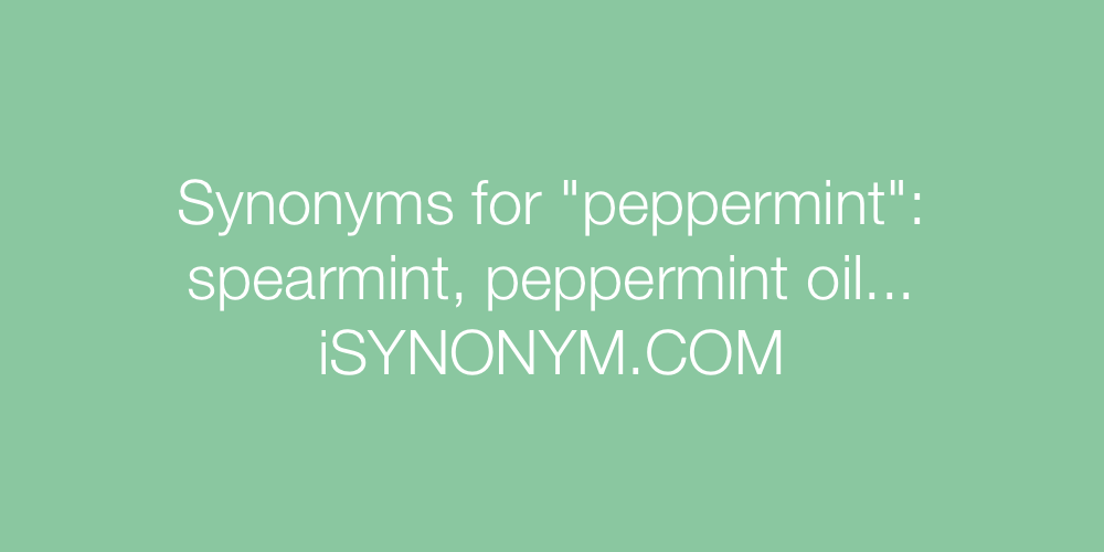 Synonyms peppermint