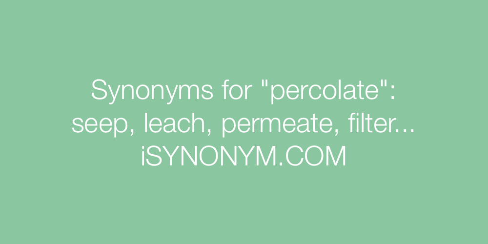 Synonyms percolate