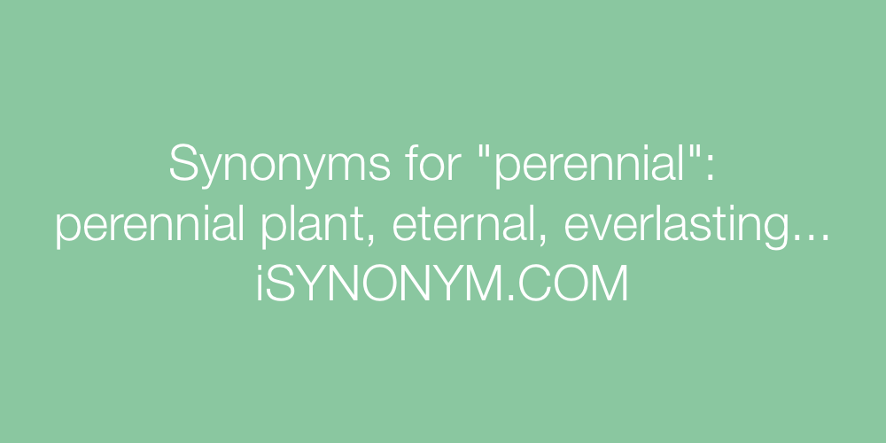 Synonyms perennial