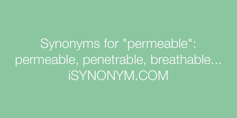 Synonyms permeable