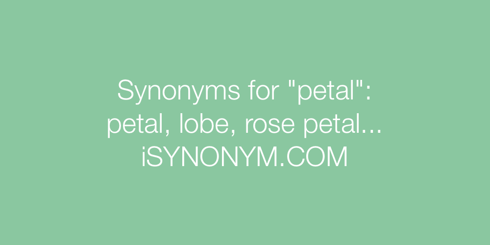 Synonyms petal