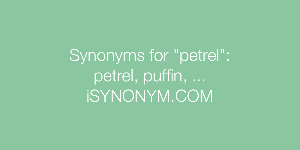 Synonyms petrel