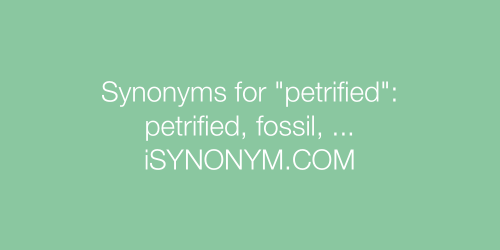 Synonyms petrified