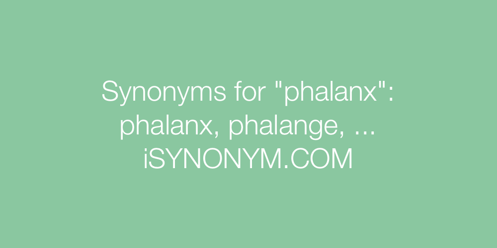 Synonyms phalanx