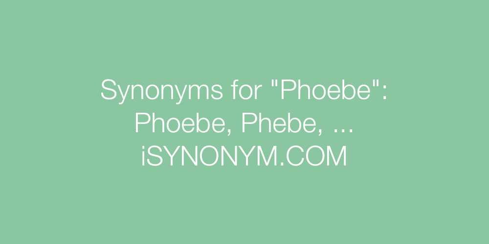 Synonyms Phoebe