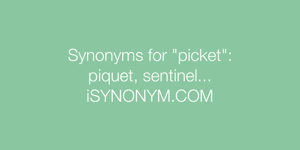 Synonyms picket