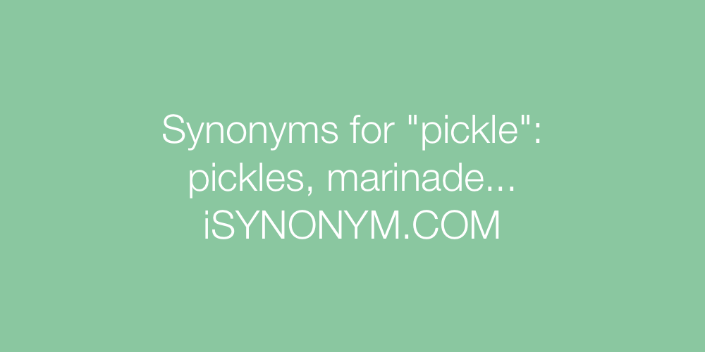 Synonyms pickle